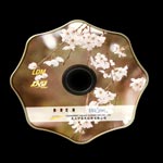 CD Specialty Mini Case