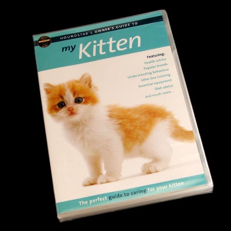 DVD Single Standard Case